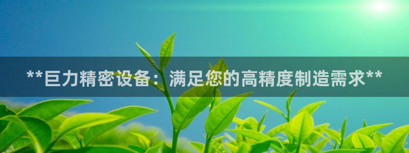 彩神这个平台是真的吗：**巨力精密设备：满足您的高精度制造需求**