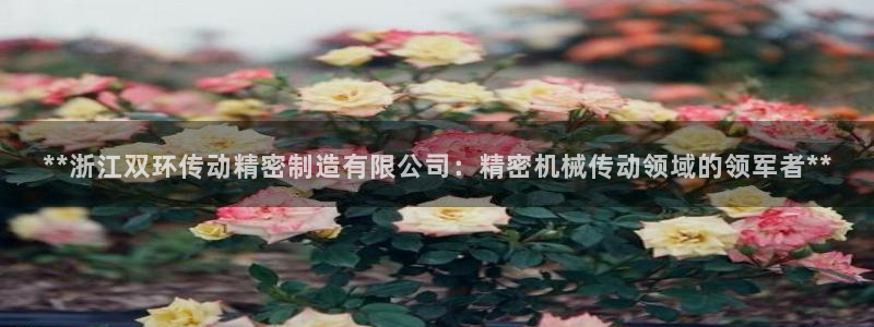 彩神这个平台是真的吗：**浙江双环传动精密制造有限公司：精密机械传动领域的领军者**
