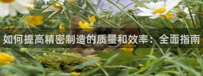 彩神旗下有哪些平台：如何提高精密制造的质量和效率：全面指南
