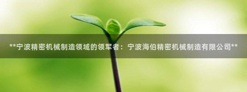 彩神V购彩大厅：**宁波精密机械制造领域的领军者：宁波海伯精密机械制造有限公司**