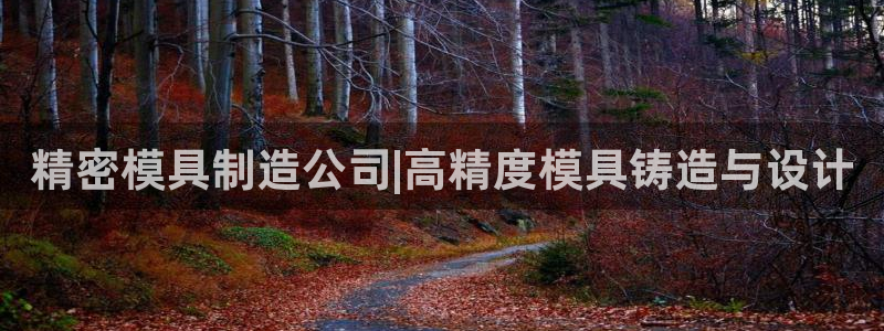 彩神争霸官网登录平台：精密模具制造公司|高精度模具铸造与设计