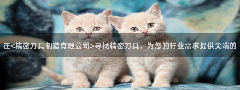 彩神购彩-购彩大厅入口老版：在<精密刀具制造有限公司>寻找精密刀具，为您的行业需求提供尖端的