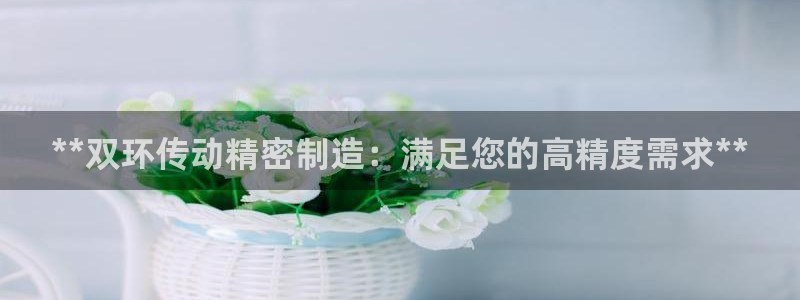 下载彩神通关注码：**双环传动精密制造：满足您的高精度需求**