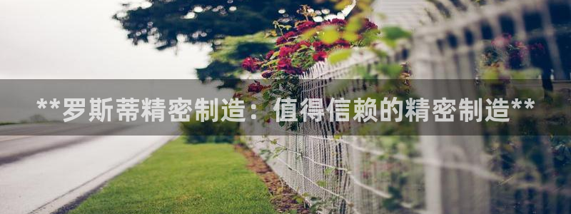 彩神V购彩大厅：**罗斯蒂精密制造：值得信赖的精密制造**