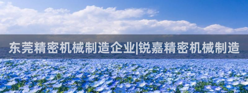 彩神ix可靠吗：东莞精密机械制造企业|锐嘉精密机械制造