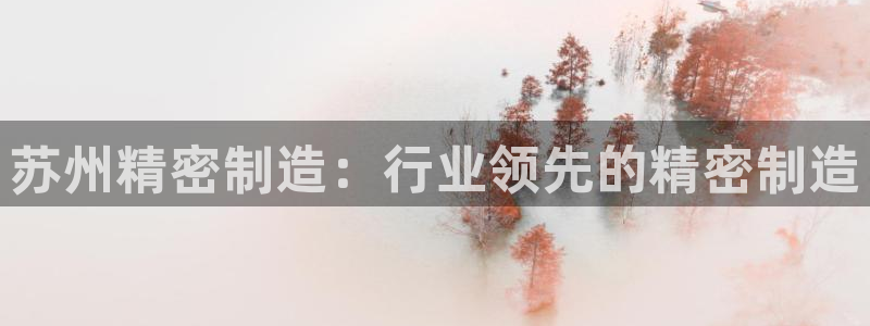 彩神V官网：苏州精密制造：行业领先的精密制造