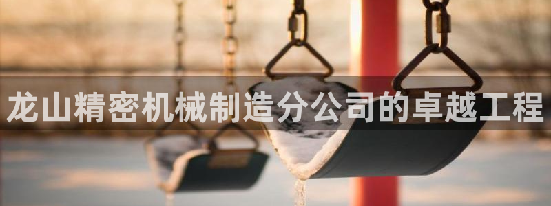 彩神vip购彩大厅下载：龙山精密机械制造分公司的卓越工程