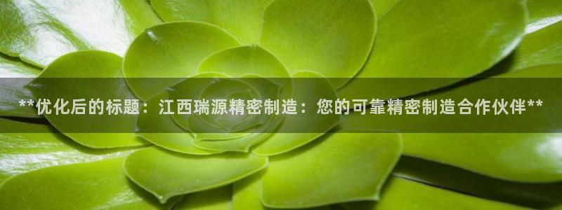 彩神v大众娱乐：**优化后的标题：江西瑞源精密制造：您的可靠精密制造合作伙伴**