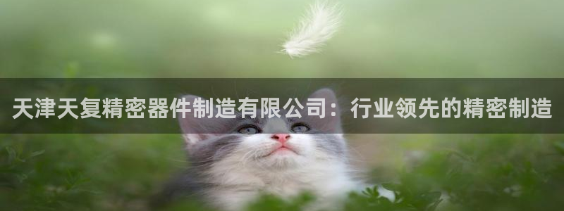 彩神网能赚钱是怎么回事：天津天复精密器件制造有限公司：行业领先的精密制造