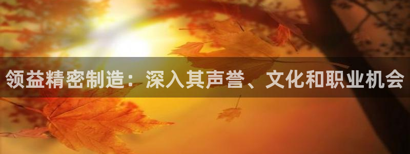 有谁知道彩神争霸的网址：领益精密制造：深入其声誉、文化和职业机会
