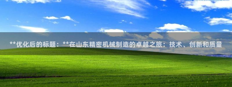 彩神v|：**优化后的标题：**在山东精密机械制造的卓越之旅：技术、创新和质量