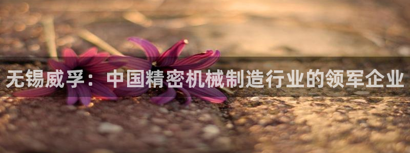 彩神v8下载app5.0：无锡威孚：中国精密机械制造行业的领军企业