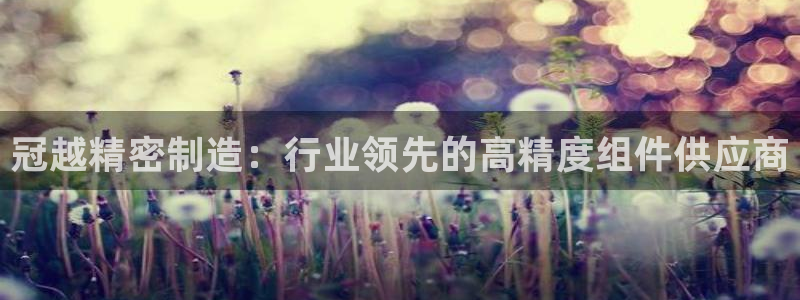 彩神赢钱了吗：冠越精密制造：行业领先的高精度组件供应商