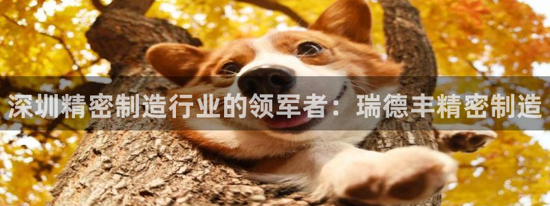 彩神赢了钱登录不上去：深圳精密制造行业的领军者：瑞德丰精密制造