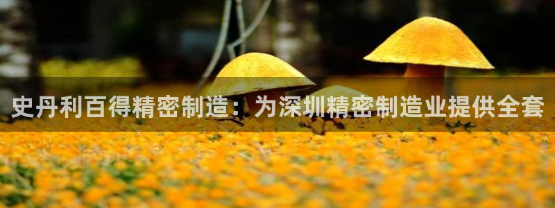 彩神vll首页企业文化：史丹利百得精密制造：为深圳精密制造业提供全套
