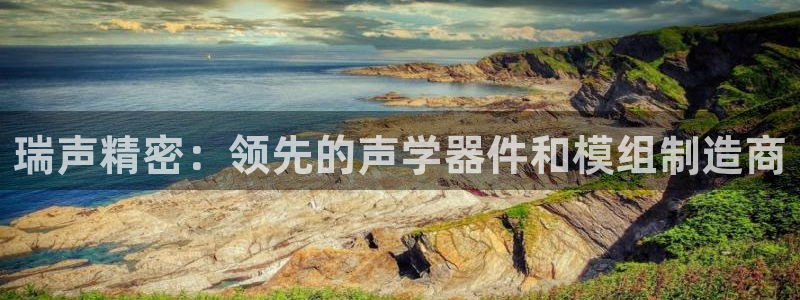 彩神vlll官方网：瑞声精密：领先的声学器件和模组制造商