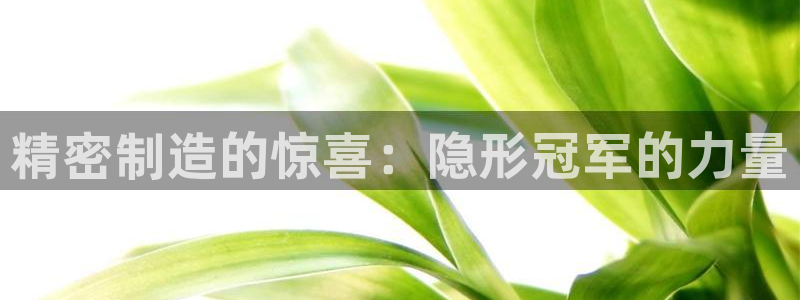 彩神旗下有哪些平台：精密制造的惊喜：隐形冠军的力量