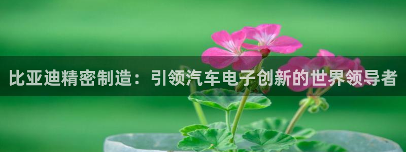 彩神v8有多久了?靠谱吗：比亚迪精密制造：引领汽车电子创新的世界领导者