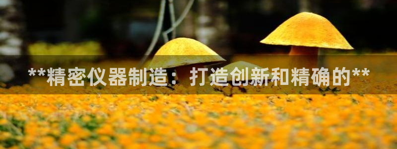 彩神购彩购彩大厅入口v：**精密仪器制造：打造创新和精确的**
