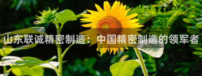 彩神v8是一个什么平台啊：山东联诚精密制造：中国精密制造的领军者
