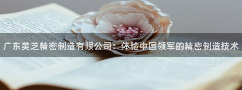 彩神购彩-购彩大厅入口500：广东美芝精密制造有限公司：体验中国领军的精密制造技术