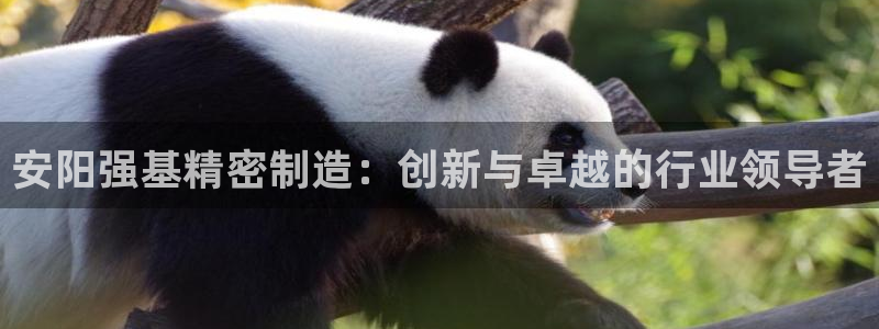 彩神8官网下：安阳强基精密制造：创新与卓越的行业领导者