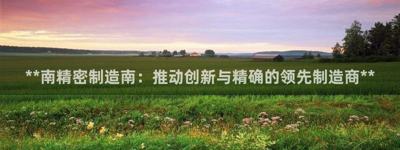 彩神v1官网：**南精密制造南：推动创新与精确的领先制造商**