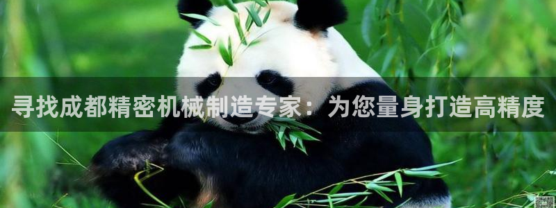 彩神v平台：寻找成都精密机械制造专家：为您量身打造高精度