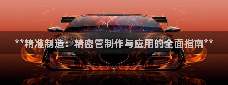 彩神网可以赚钱是真的吗：**精准制造：精密管制作与应用的全面指南**