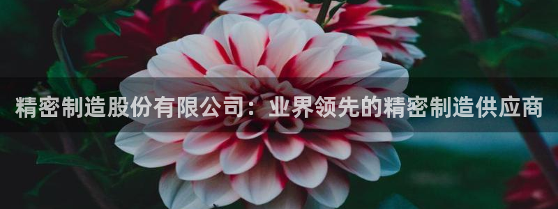 彩神 好 平台：精密制造股份有限公司：业界领先的精密制造供应商