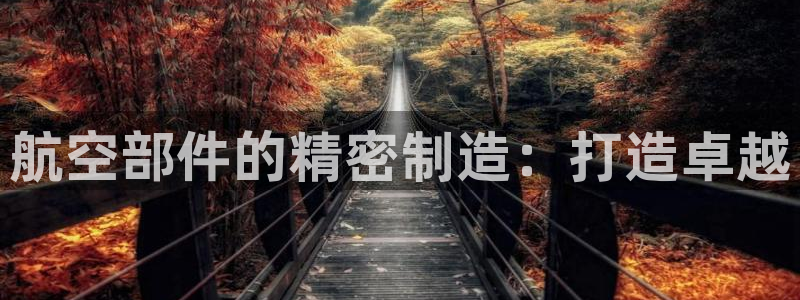 彩神8下载安卓版-彩神8(可提现)官网版1.0.0：航空部件的精密制造：打造卓越