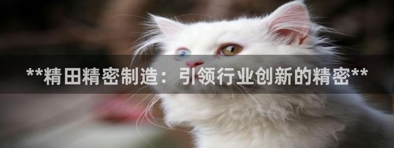 彩神平台可以破解吗：**精田精密制造：引领行业创新的精密**