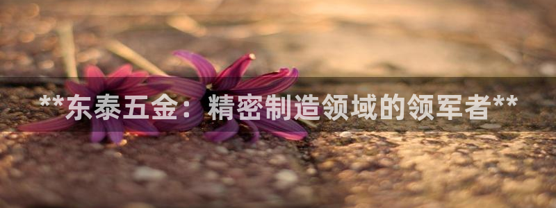 彩神VII官方版：**东泰五金：精密制造领域的领军者**