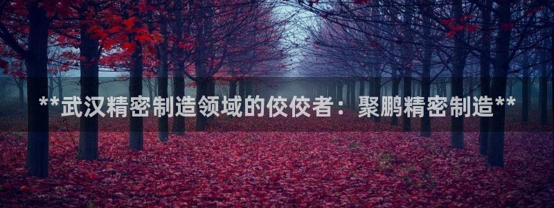彩神旗下有哪些平台可以看：**武汉精密制造领域的佼佼者：聚鹏精密制造**