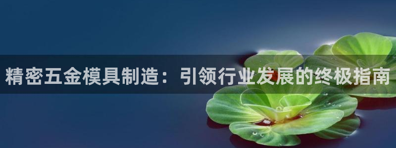 彩神大发云：精密五金模具制造：引领行业发展的终极指南