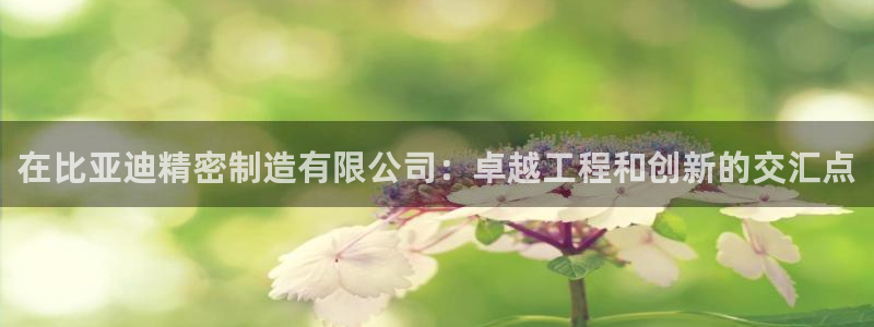 彩神v8是真的挣钱吗：在比亚迪精密制造有限公司：卓越工程和创新的交汇点