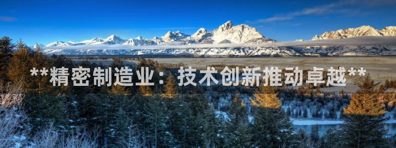 彩神x平台靠什么盈利：**精密制造业：技术创新推动卓越**