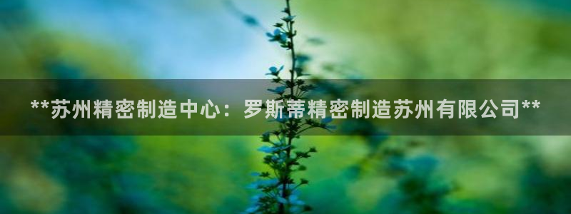 彩神赢钱了吗是真的吗：**苏州精密制造中心：罗斯蒂精密制造苏州有限公司**