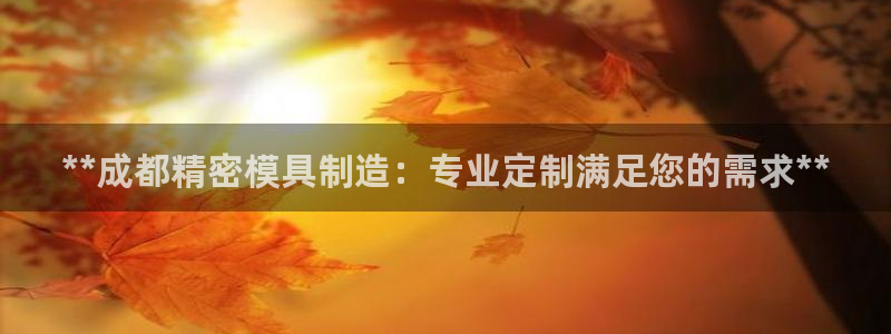 彩神平台是真的吗：**成都精密模具制造：专业定制满足您的需求**