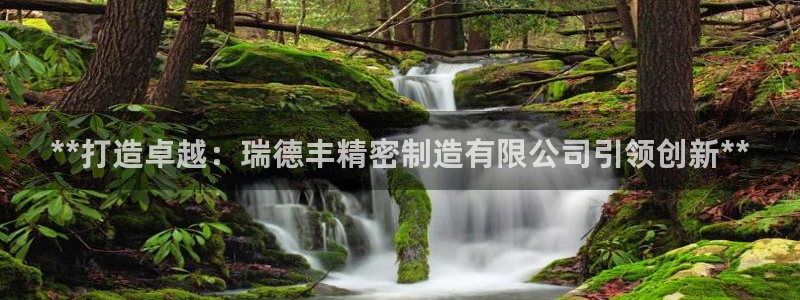 彩神8购彩-购彩大厅：**打造卓越：瑞德丰精密制造有限公司引领创新**