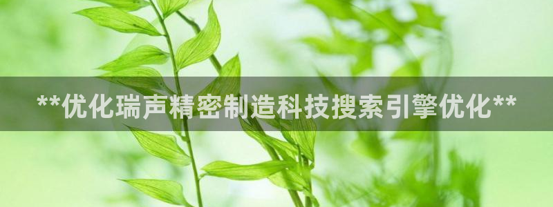 彩神v1官网：**优化瑞声精密制造科技搜索引擎优化**
