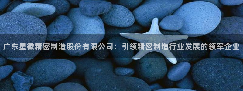 彩神购彩-购彩大厅入口娱乐首选：广东星徽精密制造股份有限公司：引领精密制造行业发展的领军企业
