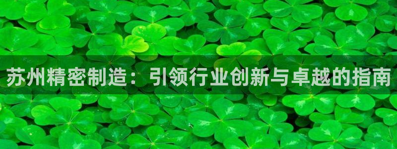 彩神v秘聊号码：苏州精密制造：引领行业创新与卓越的指南
