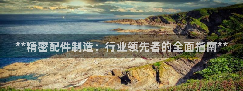 有谁知道彩神争霸的网址：**精密配件制造：行业领先者的全面指南**