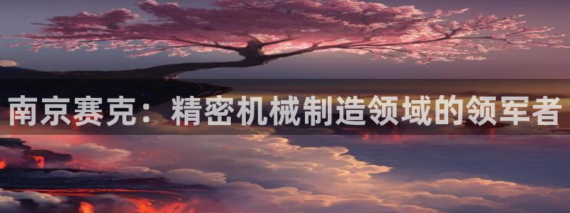 v彩神88iii：南京赛克：精密机械制造领域的领军者