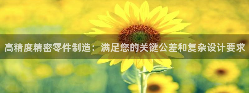 彩神v8是真的挣钱吗：高精度精密零件制造：满足您的关键公差和复杂设计要求