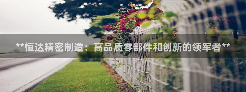 彩神大发cp：**恒达精密制造：高品质零部件和创新的领军者**