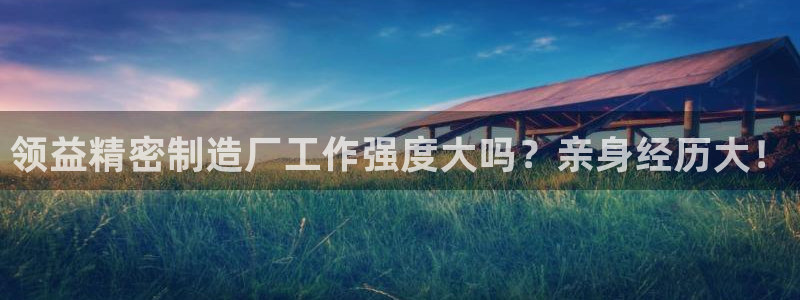 彩神v8手机客户端在哪：领益精密制造厂工作强度大吗？亲身经历大！
