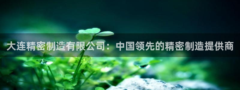 彩神旗下有哪些平台：大连精密制造有限公司：中国领先的精密制造提供商