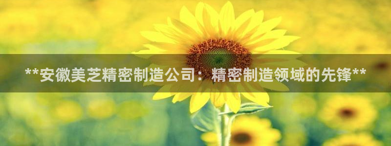 彩神争霸官方下载2017：**安徽美芝精密制造公司：精密制造领域的先锋**